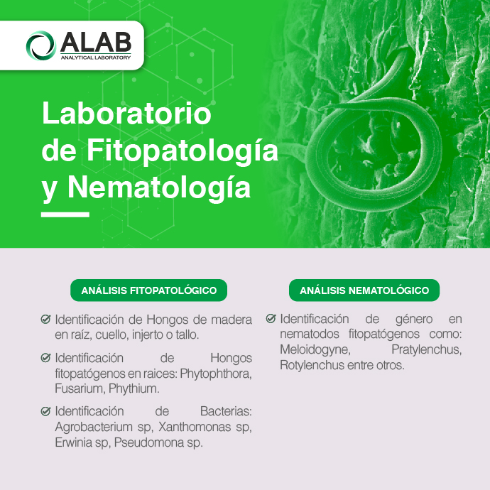 Publicidad Agronomia